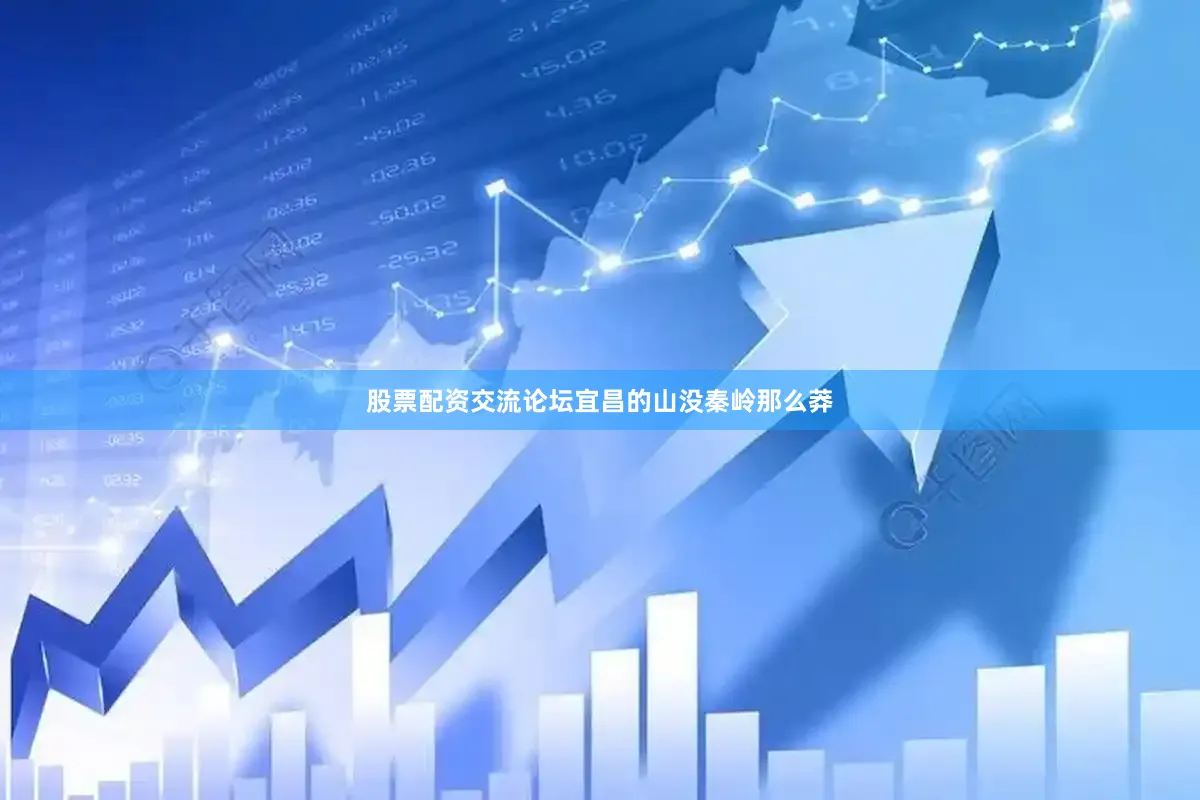 股票配资交流论坛宜昌的山没秦岭那么莽