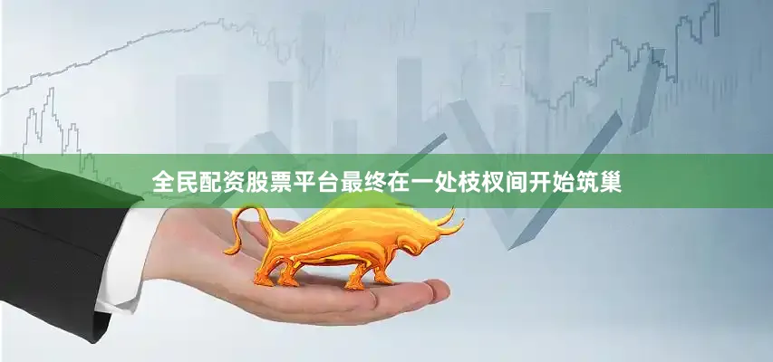 全民配资股票平台最终在一处枝杈间开始筑巢