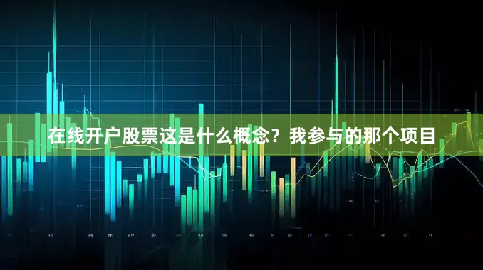在线开户股票这是什么概念？我参与的那个项目