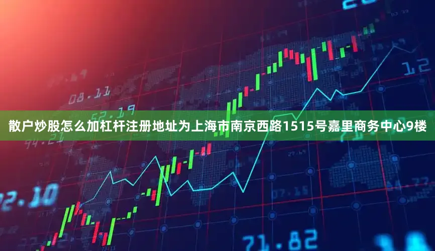 散户炒股怎么加杠杆注册地址为上海市南京西路1515号嘉里商务中心9楼