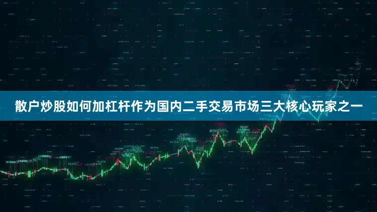 散户炒股如何加杠杆作为国内二手交易市场三大核心玩家之一