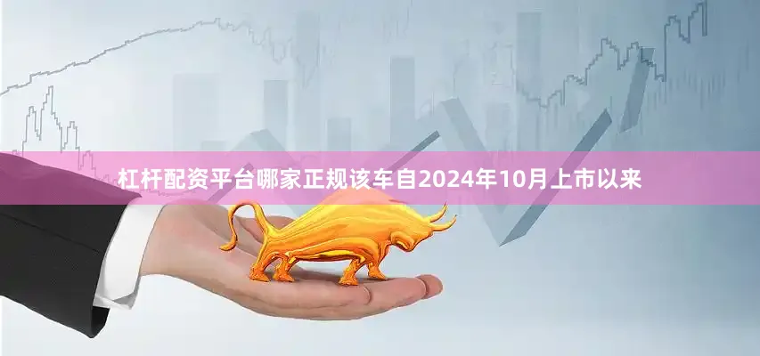 杠杆配资平台哪家正规该车自2024年10月上市以来